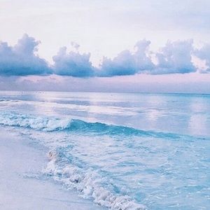 Meet your Posher, Sylvie